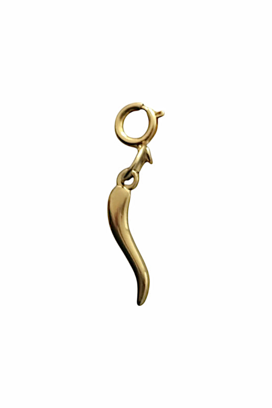 SPICY PEPPER PENDANT